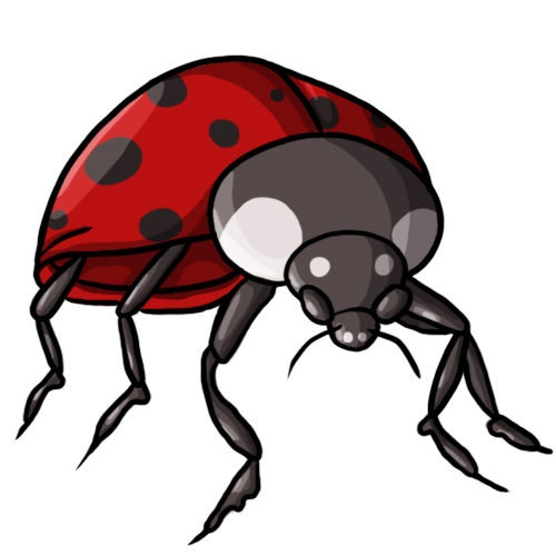 Ladybug Clip Art 10