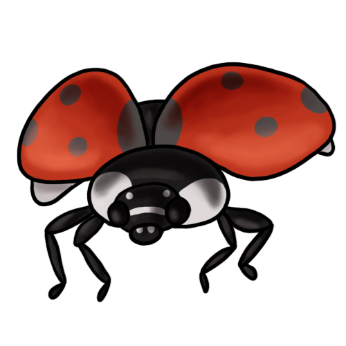 clip art of a ladybug - photo #8