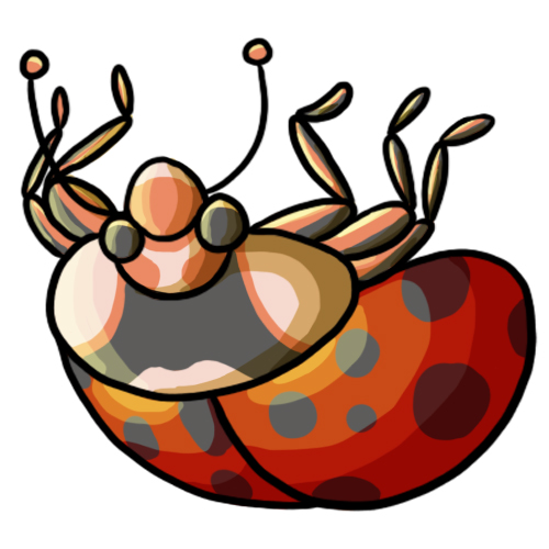 Ladybug Clip Art 14