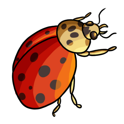 Ladybug Clip Art 16