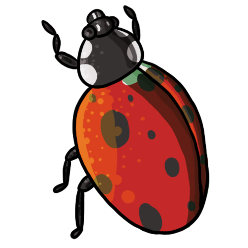 Ladybug Clip Art 17