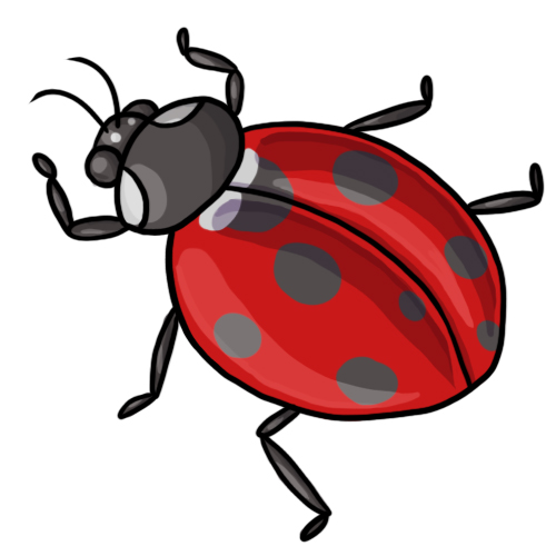 Ladybug Clip Art 20