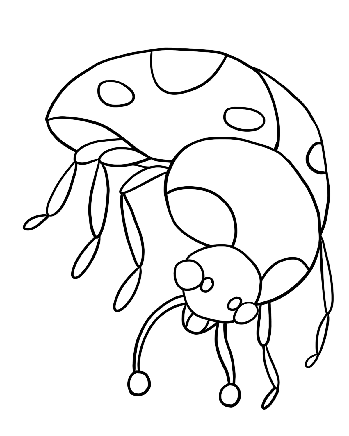 Ladybug Coloring Picture 1