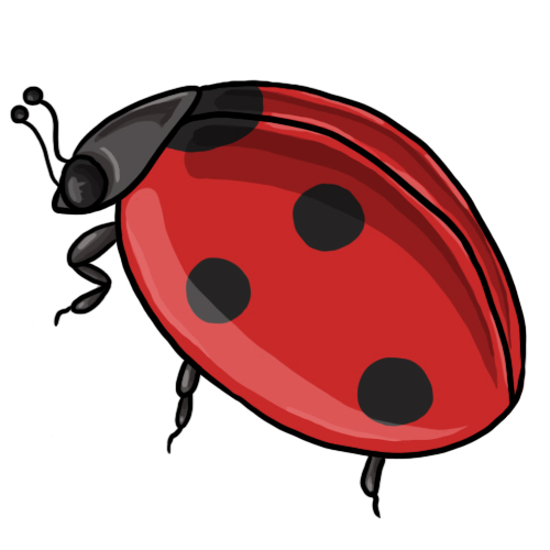 Ladybug Clip Art 5