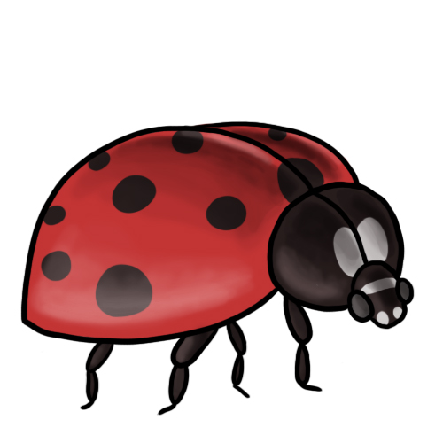 Ladybug Clip Art 8