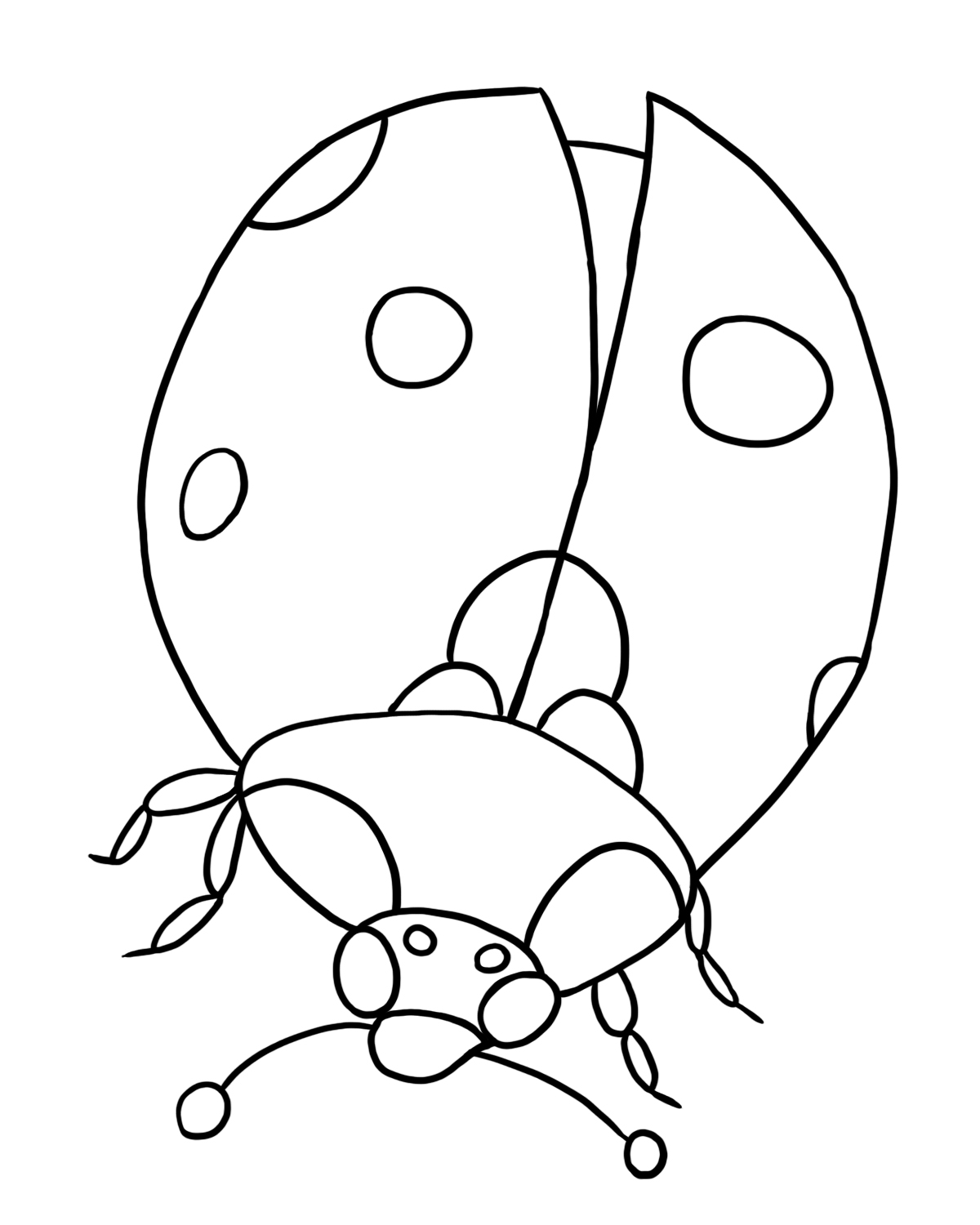 free-ladybug-coloring-pages-to-print-out-and-color